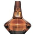 Calvin Klein SECRET OBSESSION - Eau de Parfum 100 ml / Eau de Parfum [Misc.] - Calvin Klein