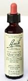 Bach Flower Essence - Chicory