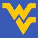 New! Authentic Medium West Virginia Mountaineers Dog Collar