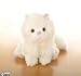 Lil' Kinz Plush WEBKINZ CARES Persian Cat