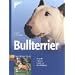 Bullterrier: Auswahl, Haltung, Erziehung, Besch�ftigung