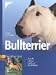 Bullterrier: Auswahl, Haltung, Erziehung, Besch&Atilde;&curren;ftigung