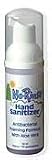 No Rinse Hand Sanitizer (1 bottle)