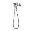 Spray Assembly, Wall Mounted Mixing Faucet, 5 ft Flex Hose