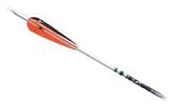 CARBON EXPRESS CX ARROW SHAFTS -- 12 PER PACKSize: 300 / Wt:(gr./