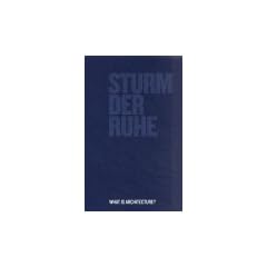 Sturm der Ruhe. What is architecture?