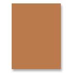 Riverside Paper Tru-Ray(R) Construction Paper, 18in. x 24in., Warm Brown