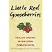 Little Red Gooseberries: Organic Recipes from Penrhos