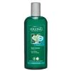 Logona Repair Shampoo Ginkgo 250ml