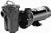 Power-Flo LX Above-Ground Pump Series - 1 hp