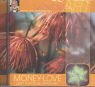 Money Love - den Geldfluss aktivieren. LebensArt-CD.