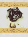 Cy Twombly: Photographs