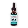 Animals' Apawthecary Milk Thistle Dog and Cat Remedy