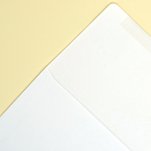 Remittance 9-24lb Envelope 500 box