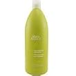 Back to Basics Green Tea Normalizing Shampoo Liter (33 Oz)