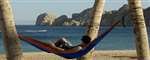 Dbl Parachute Hammock Navy/Red