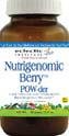 Nutrigenomic Berry Powder - 90 g - Powder