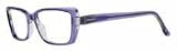 BCBG ANASTASIA 53/15/135 PURPLE Sunglasses