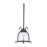Sea Gull Lighting 6145-07 Manor House One-Light Mini Pendant, Weathered Iron Finish with Clear Seeded Glass