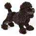 Plush Pierrer Black Poodle 16