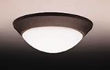Flush Mt 2Lt Incandescent