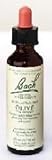 Bach Flower Remedies - Olive