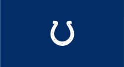Indianapolis Colts Pool Table Felt