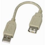 6 Inch Fully Rated USB Extension Cable A-A by StarTech