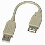 6 Inch Fully Rated USB Extension Cable A-a