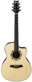 Ibanez Acoustic Electric Guitar A100ENT