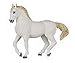 Lipizzaner