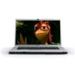 Electronics : Sony VAIO FW21Z - Core 2 Duo T9400 / 2.53 GHz - Centrino 2 - RAM 4 GB - HDD 500 GB - BD-RE - Mobility Radeon HD 3650 - Gigabit Ethernet - WLAN : 802.11 a/b/g/n (draft), Bluetooth 2.1 EDR - Vista Home Premium - 16.4" Widescreen TFT 1920 x 1080 ( WXGA++ ) X-black - camera