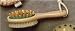 cellulite35 - Natural Boar Bristle Bath Brush New Cellulite Massager