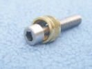 Titan 10/22 Takedown Screw