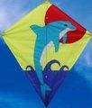 Childrens Toyshop  Toys : Graphic Diamond Dolphin