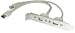 LINDY USB/FireWire PC Back Plate