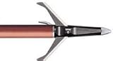 Gobbler Getter Broadhead (Wt: 100gr) 60-250