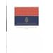 Unilingual Spanish Dictionaries and Language References