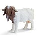 Schleich Boer He-Goat