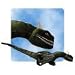 Harry Potter Welsh Green Dragon Plush