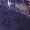Nightshade