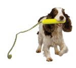 Air Fetch Stick - COA, Medium 737 (G)(CO150)