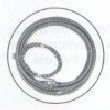 LiftMaster G50ENL1218 loop