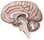 Higher or Lower: Dosing Issues in the Use of Atypical Antipsychotics