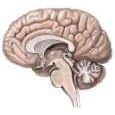 Higher or Lower: Dosing Issues in the Use of Atypical Antipsychotics