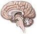Higher or Lower: Dosing Issues in the Use of Atypical Antipsychotics