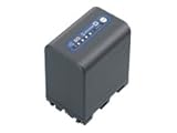 Sony NP-QM91D Lithium-Ion Battery for DCR-DVD101, 201, 301, SR1 & HDR-HC1 C ....