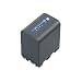 Sony NP-QM91D Lithium-Ion Battery for DCR-DVD101, 201, 301, SR1 & HDR-HC1 Camcorders
