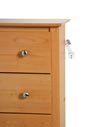 Furniture Wall Straps (Set of 2)