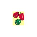 Red Pepper